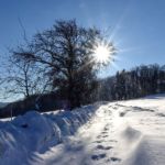 Schneeweiß und himmelblau