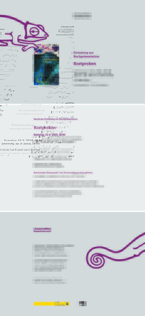 Lit Einl Bruckmeier 2020 Digital (003)
