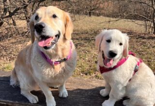 Lola & Happy