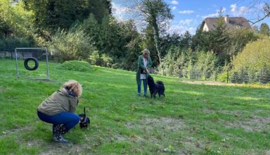 Eröffnung Hundezone Tommi Und Ferdi 2 NL