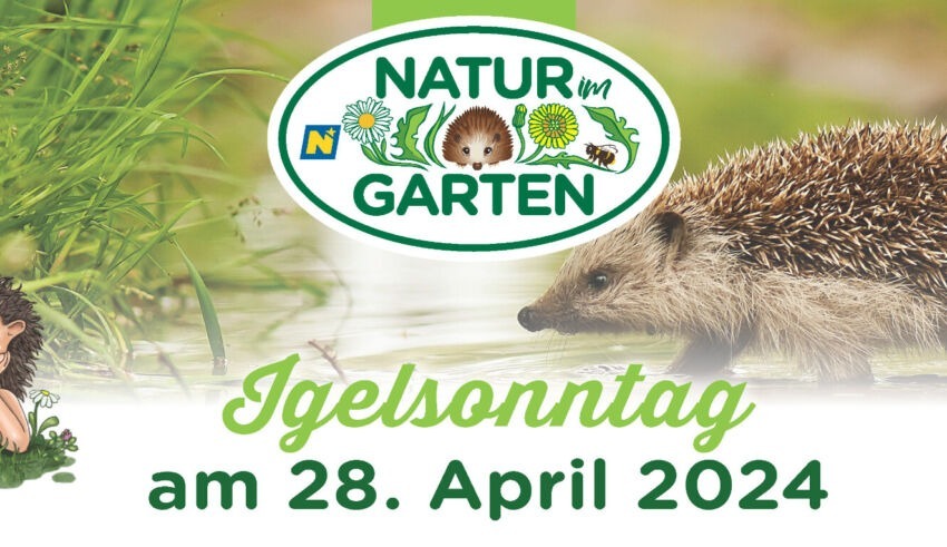 Logo Igelsonntag Natur Im Garten