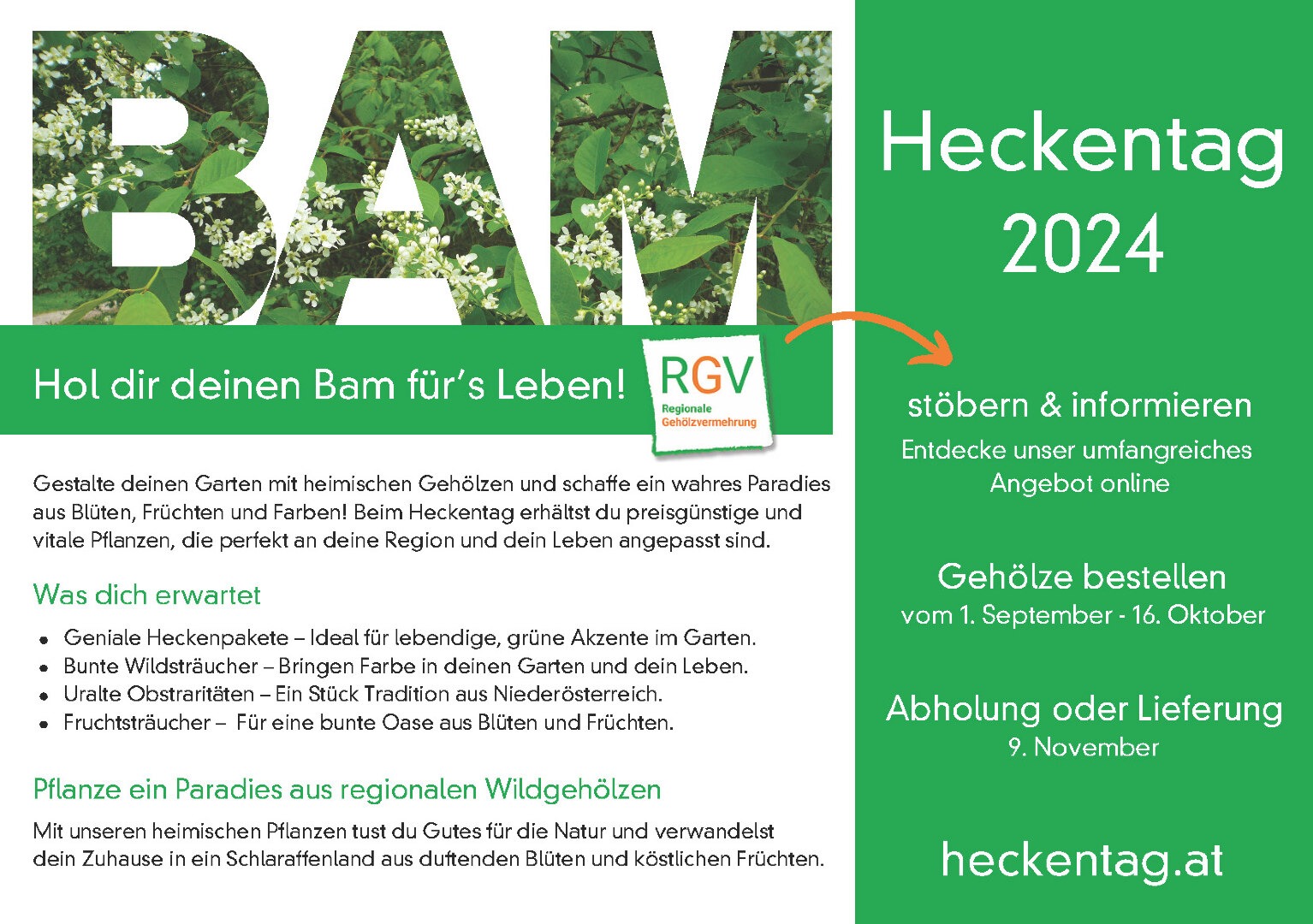 Inserat_Heckentag_NÖ+_2024_A5_quer