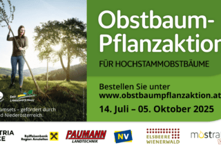 Facebook Event Titelbild Pflanzaktion 2025 1920x1080px Elsbeere Wienerwald