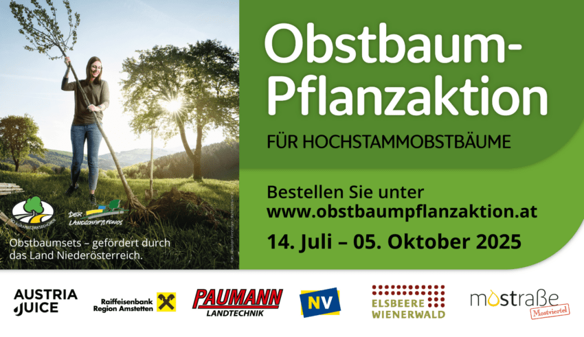Facebook Event Titelbild Pflanzaktion 2025 1920x1080px Elsbeere Wienerwald