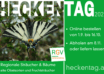 Inserat Heckentag NOE+ 98×65 2025