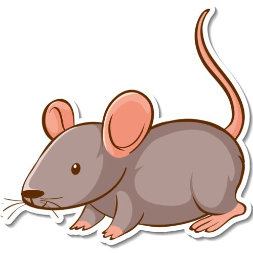 Sticker Design With Cute Mouse Isolated