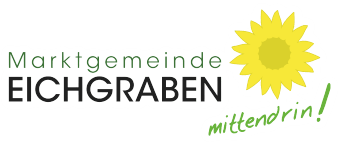 Gde Mittendrin Logo 340